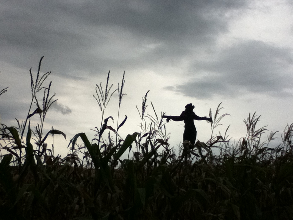 Scarecrow Horror Movie